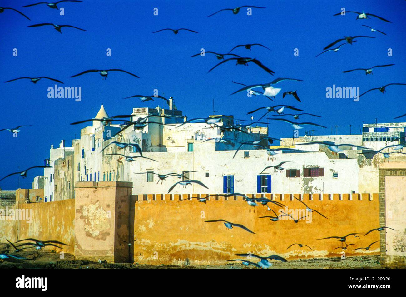 MAROC, CÔTE ATLANTIQUE, ESSAOUIRA, VIEILLE VILLE PORTUGAISE (MOGADOR), LES REMPARTS Banque D'Images