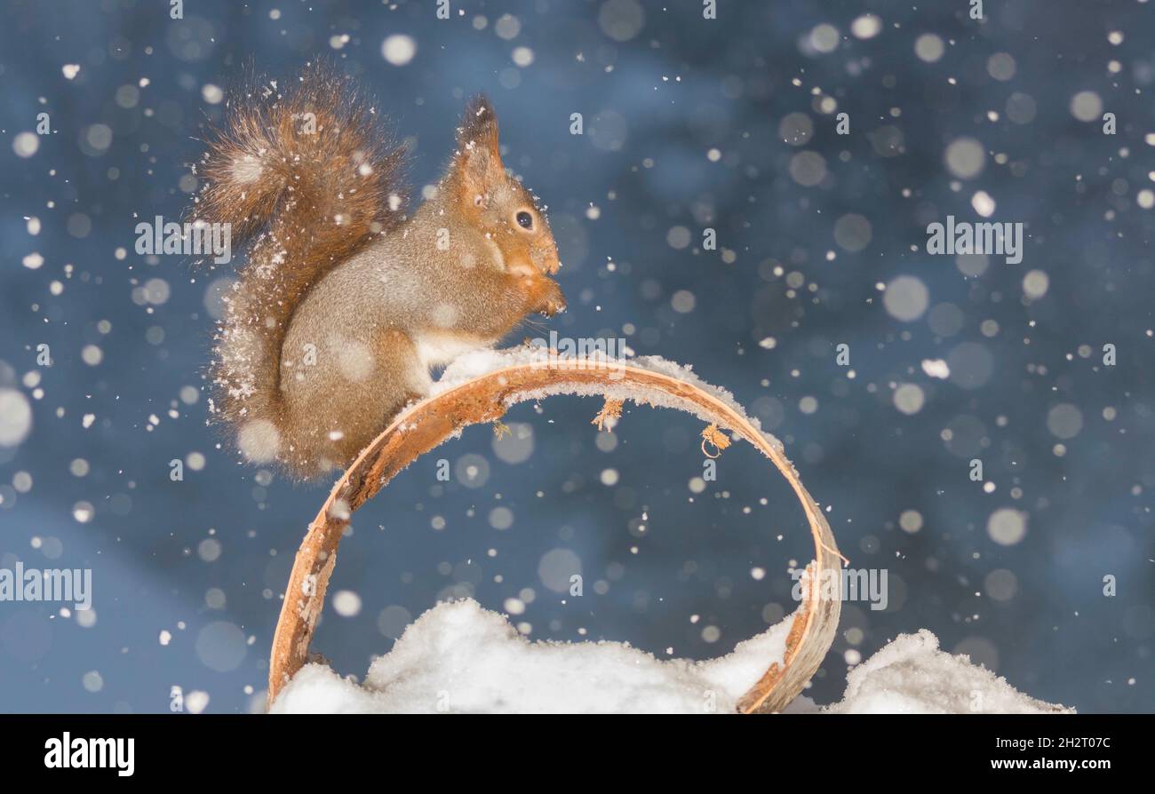 Chose ronde Banque de photographies et d’images à haute résolution Alamy