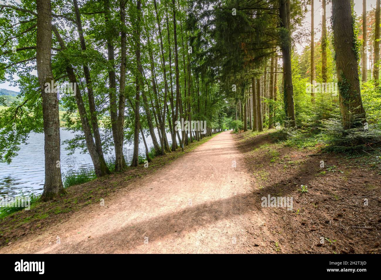 Promenade, sentiers, activités au Lac des Sapins, Cublize Banque D'Images