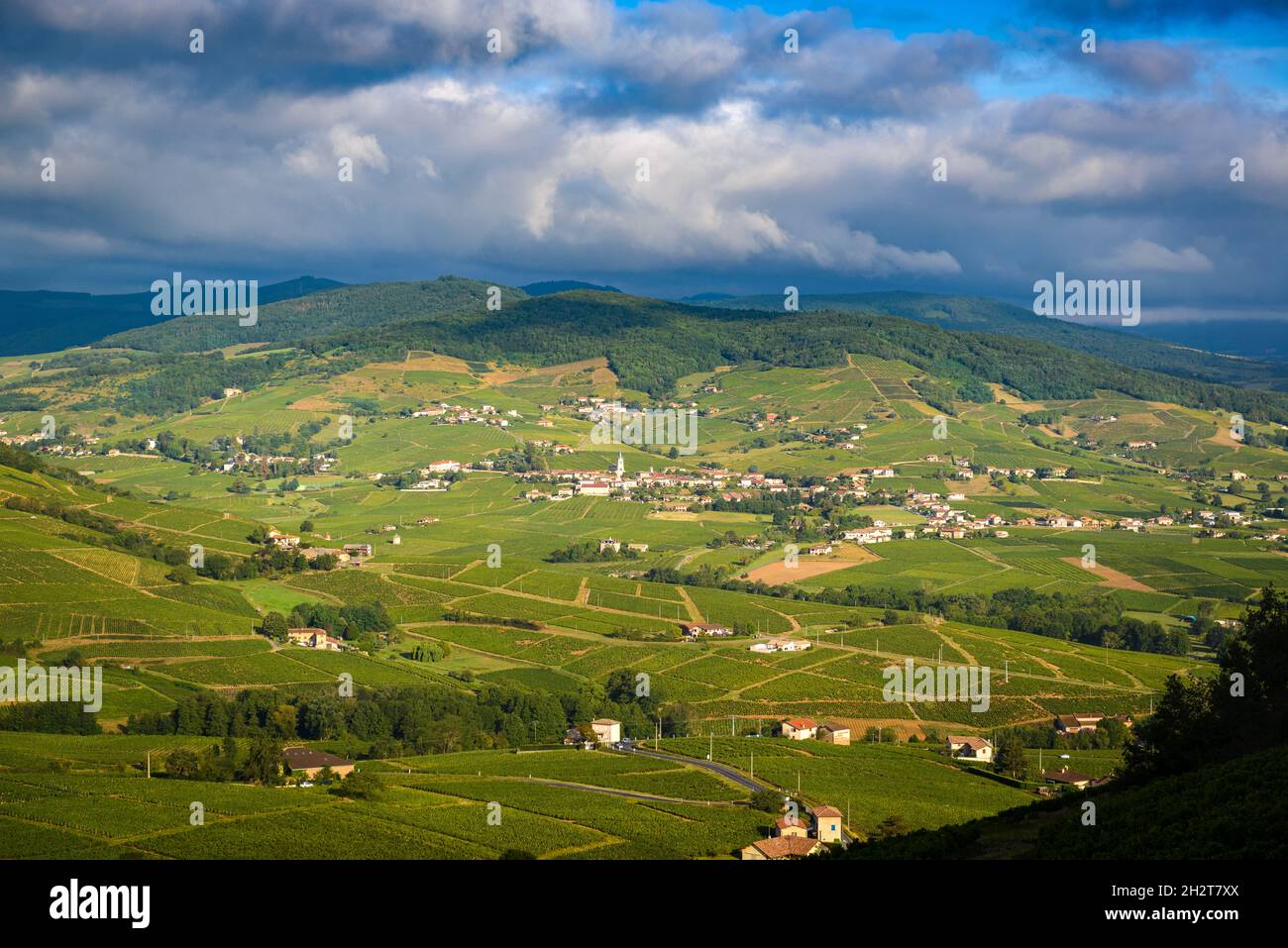 Village de Quincié et vignes du Beaujolais, France Banque D'Images