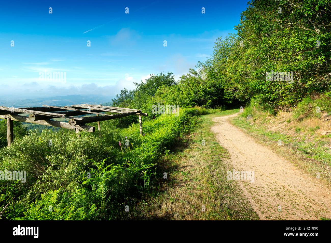 Sentier des 10 crus depuis la terrasse de Chiroubles, Beaujolais Banque D'Images