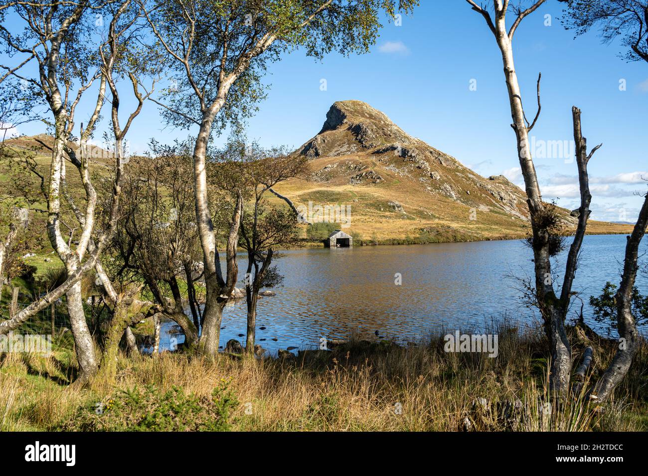 La montagne Cefn-hir et le lac Cregennan se trouvent en automne dans le parc national de Snowdonia, à Dolgellau, au pays de Galles, au Royaume-Uni. Banque D'Images