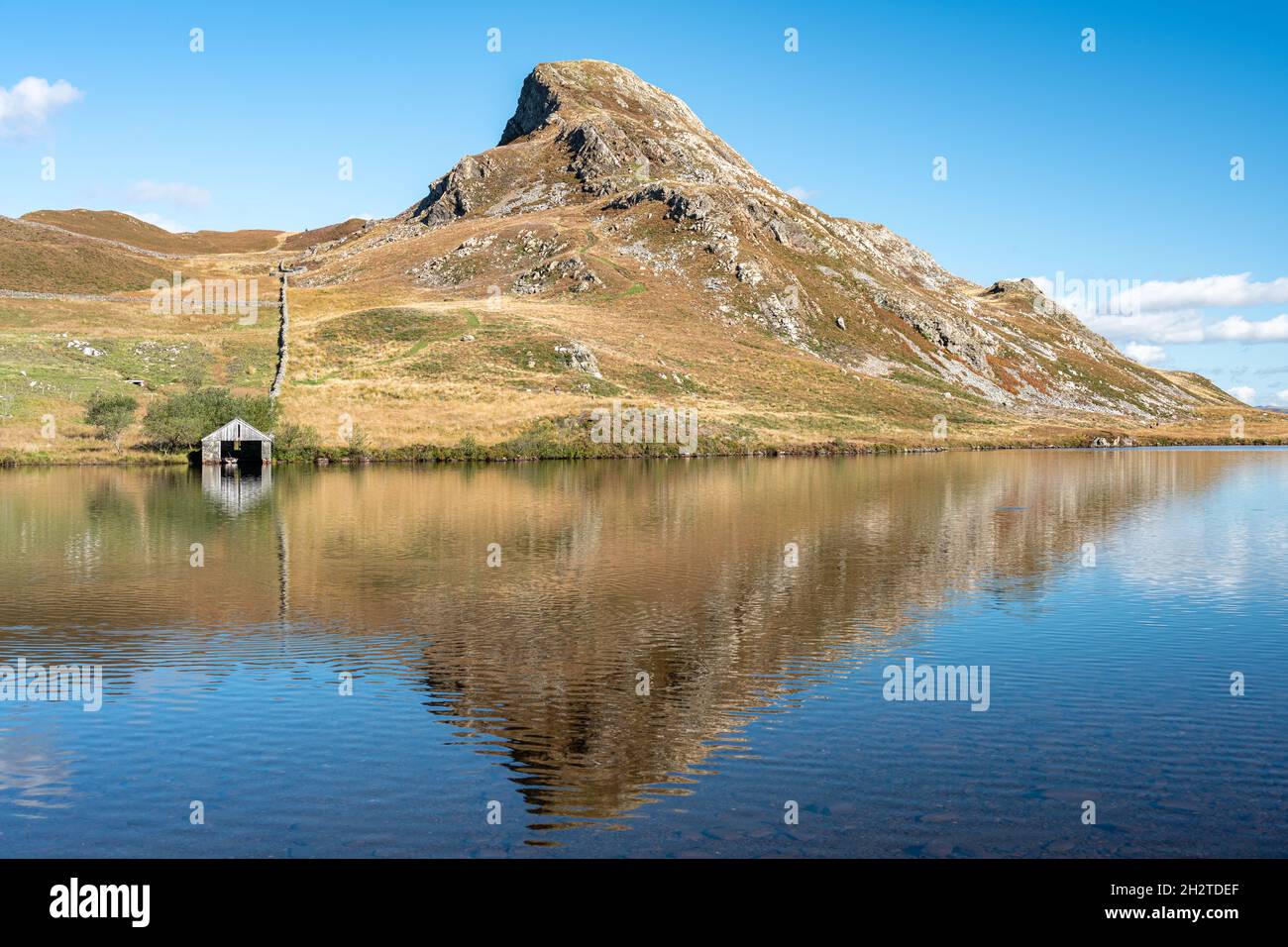 La montagne Cefn-hir et le lac Cregennan se trouvent en automne dans le parc national de Snowdonia, à Dolgellau, au pays de Galles, au Royaume-Uni. Banque D'Images