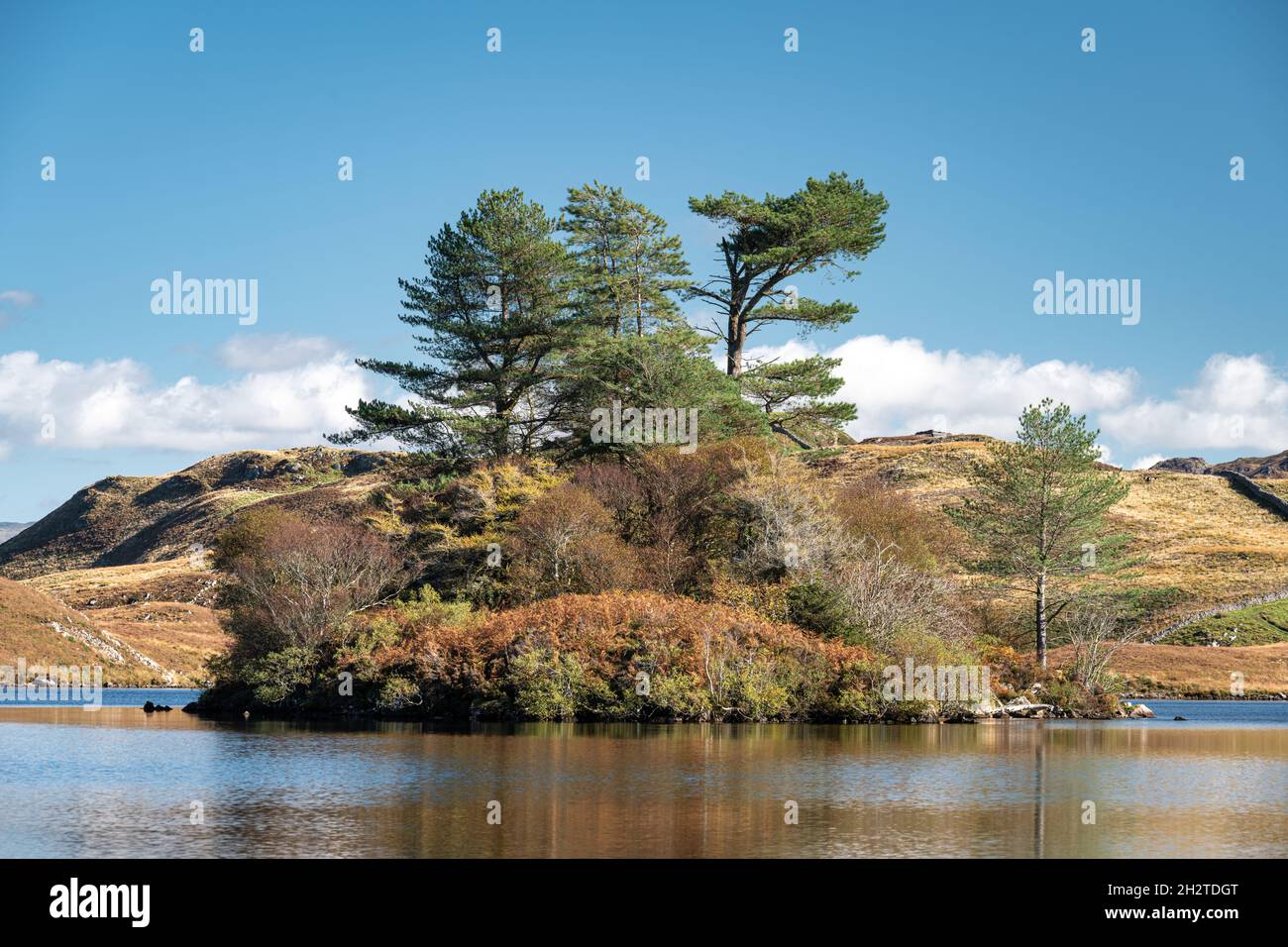 La montagne Cefn-hir et le lac Cregennan se trouvent en automne dans le parc national de Snowdonia, à Dolgellau, au pays de Galles, au Royaume-Uni. Banque D'Images