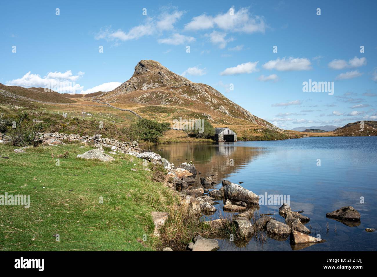 La montagne Cefn-hir et le lac Cregennan se trouvent en automne dans le parc national de Snowdonia, à Dolgellau, au pays de Galles, au Royaume-Uni. Banque D'Images