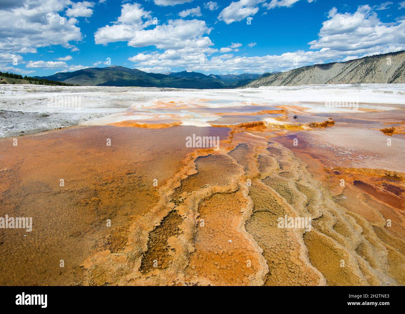 Une vue magnifique sur Hidden Falls dans le parc national de Grand Teton, États-Unis Banque D'Images