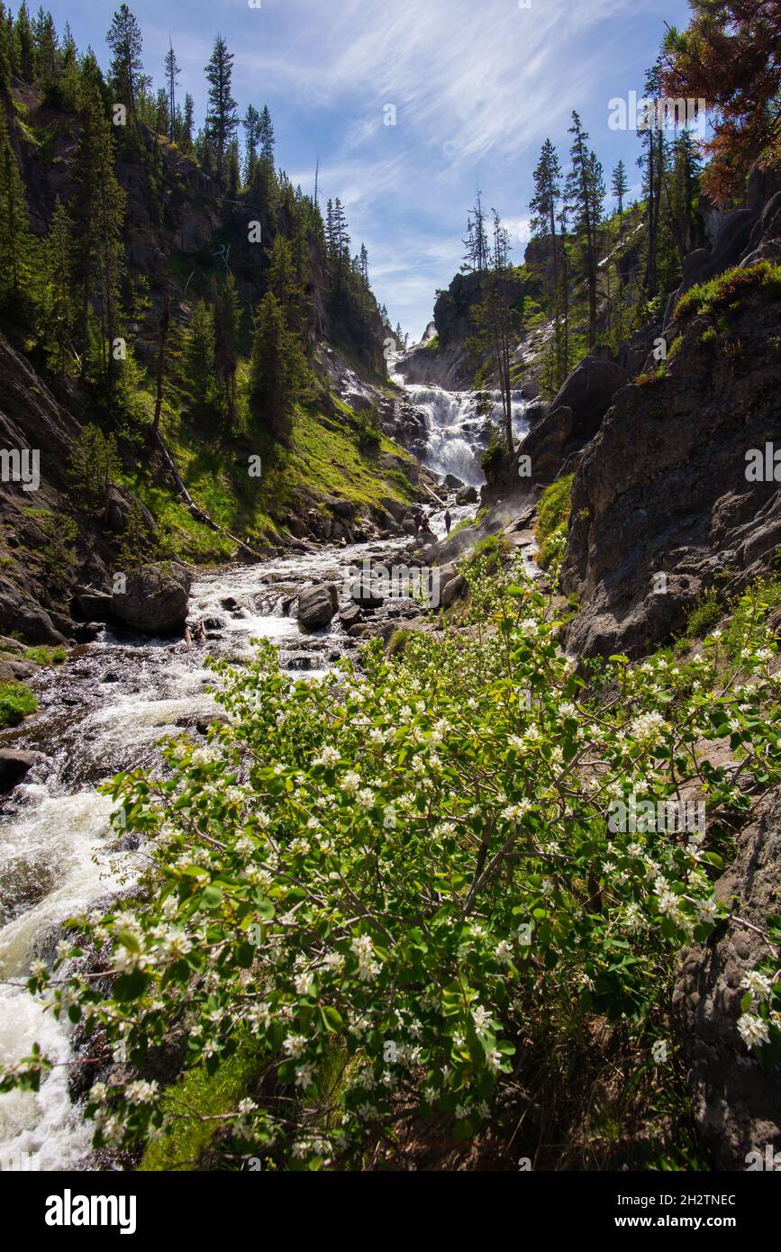 Une photo verticale de Hidden Falls dans le parc national de Grand Teton, États-Unis Banque D'Images