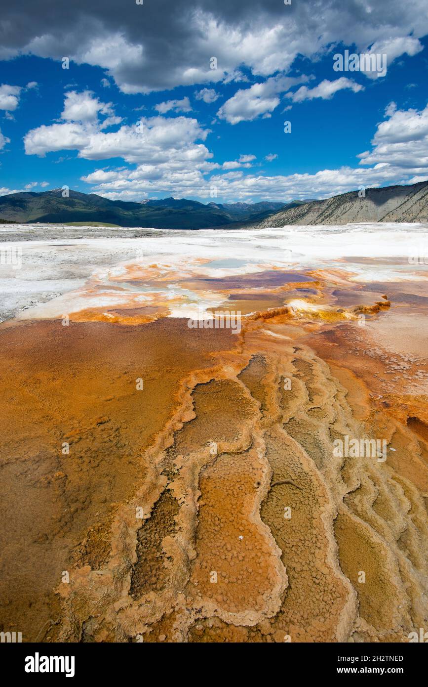 Une photo verticale de Hidden Falls dans le parc national de Grand Teton, États-Unis Banque D'Images