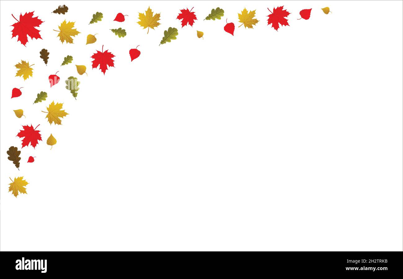 Fond vectoriel avec feuilles d'automne tombant d'érable, de chêne et de bouleau.Rouge et jaune. Illustration de Vecteur