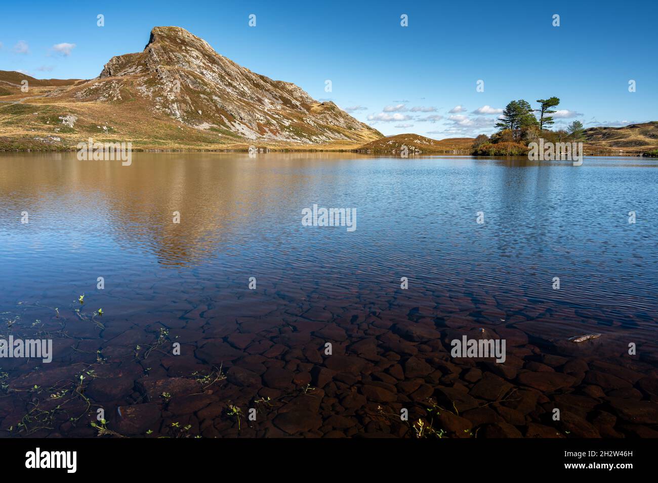 La montagne Cefn-hir et le lac Cregennan se trouvent en automne dans le parc national de Snowdonia, à Dolgellau, au pays de Galles, au Royaume-Uni. Banque D'Images