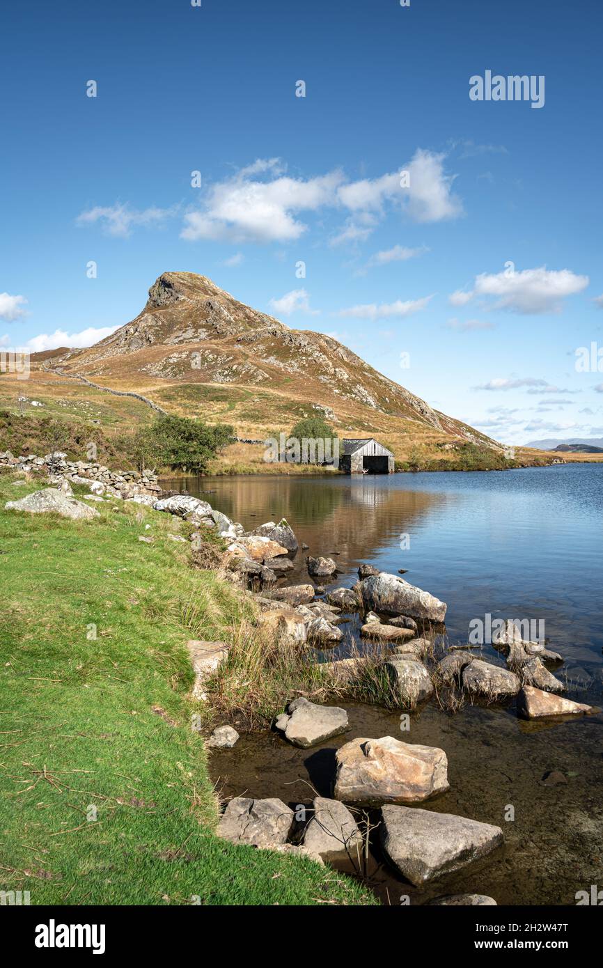 La montagne Cefn-hir et le lac Cregennan se trouvent en automne dans le parc national de Snowdonia, à Dolgellau, au pays de Galles, au Royaume-Uni. Banque D'Images