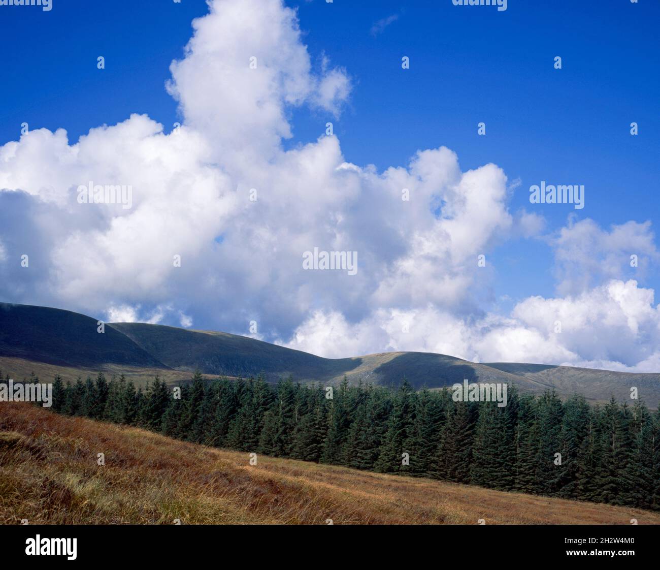 Nuage passant par le sommet de Cairnsmore de la flotte au-dessus de la grande eau de Fleet Valley Dumfries et Galloway Ecosse Banque D'Images