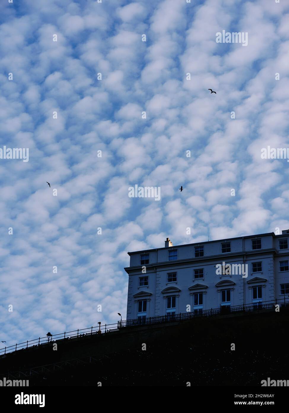 Altocumulus - ciel de maquereau - ciel à chevrons - ciel étoilé - nuages de floccus Banque D'Images