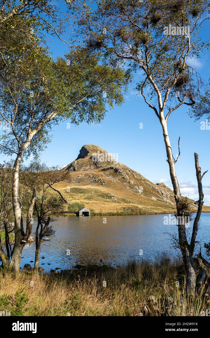 La montagne Cefn-hir et le lac Cregennan se trouvent en automne dans le parc national de Snowdonia, à Dolgellau, au pays de Galles, au Royaume-Uni. Banque D'Images