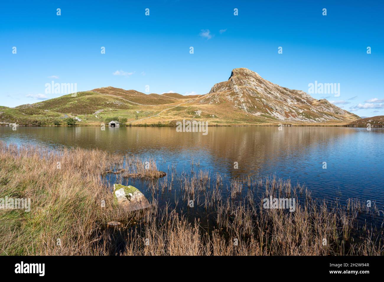 La montagne Cefn-hir et le lac Cregennan se trouvent en automne dans le parc national de Snowdonia, à Dolgellau, au pays de Galles, au Royaume-Uni. Banque D'Images