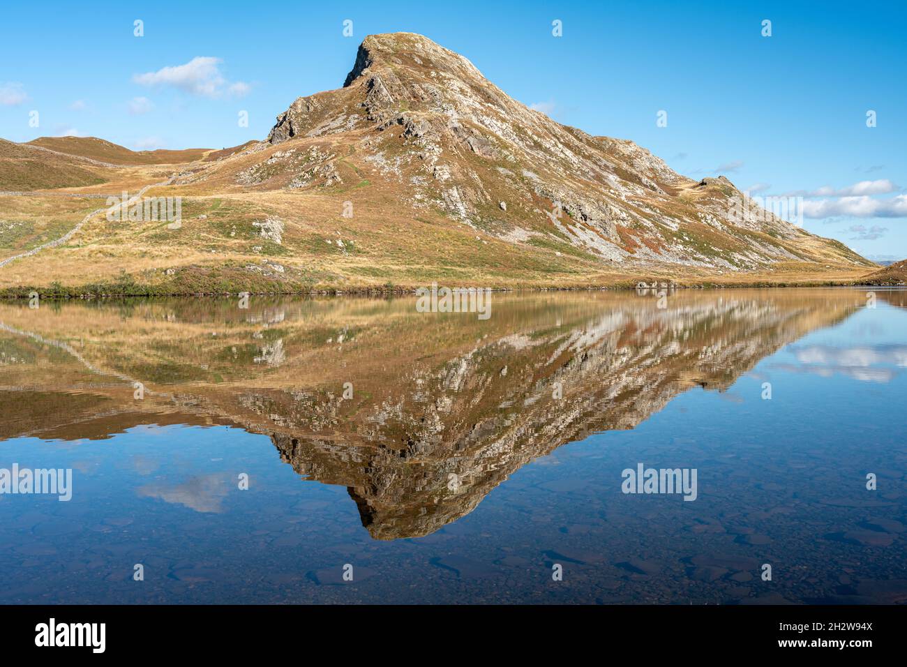 La montagne Cefn-hir et le lac Cregennan se trouvent en automne dans le parc national de Snowdonia, à Dolgellau, au pays de Galles, au Royaume-Uni. Banque D'Images