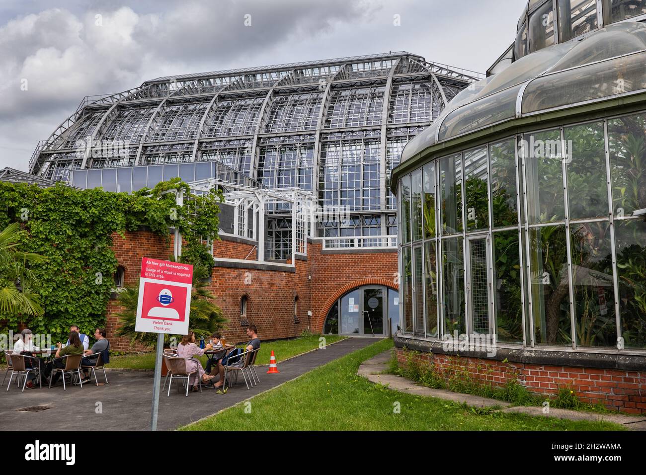 Serre dans le jardin botanique et le Musée botanique de Berlin, Allemagne. Banque D'Images