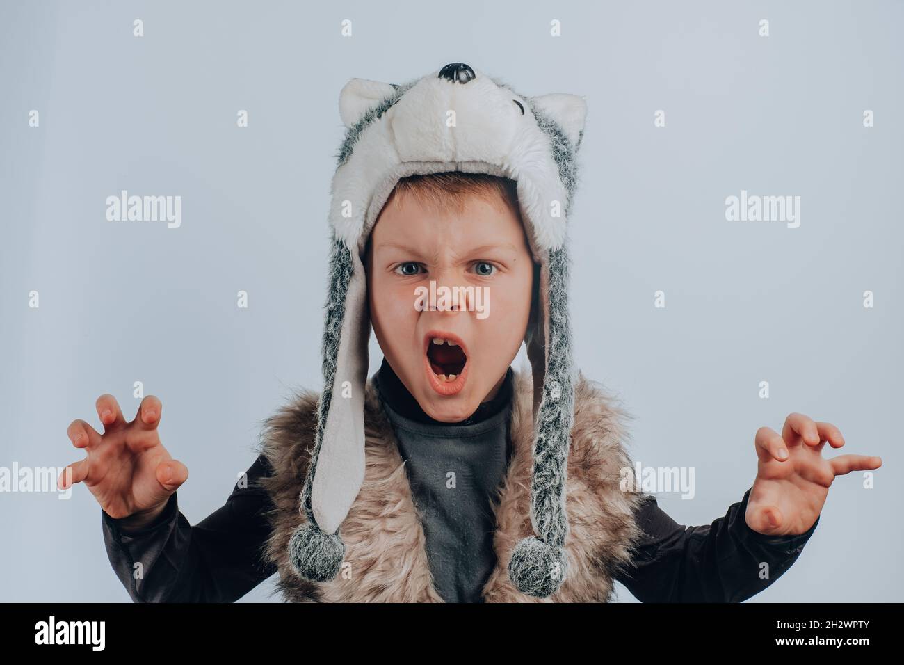 Garçon en costume de loup, isolé sur fond gris.Photo de haute qualité Banque D'Images