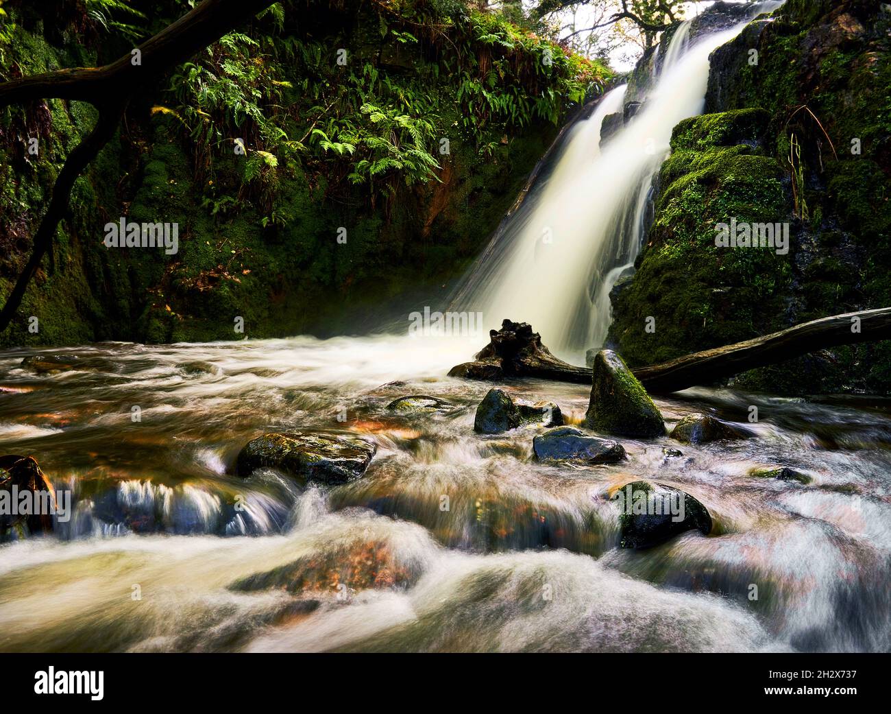 Double cascade sur Venford Brook affluent de la rivière Dart sur Dartmoor Devon UK Banque D'Images