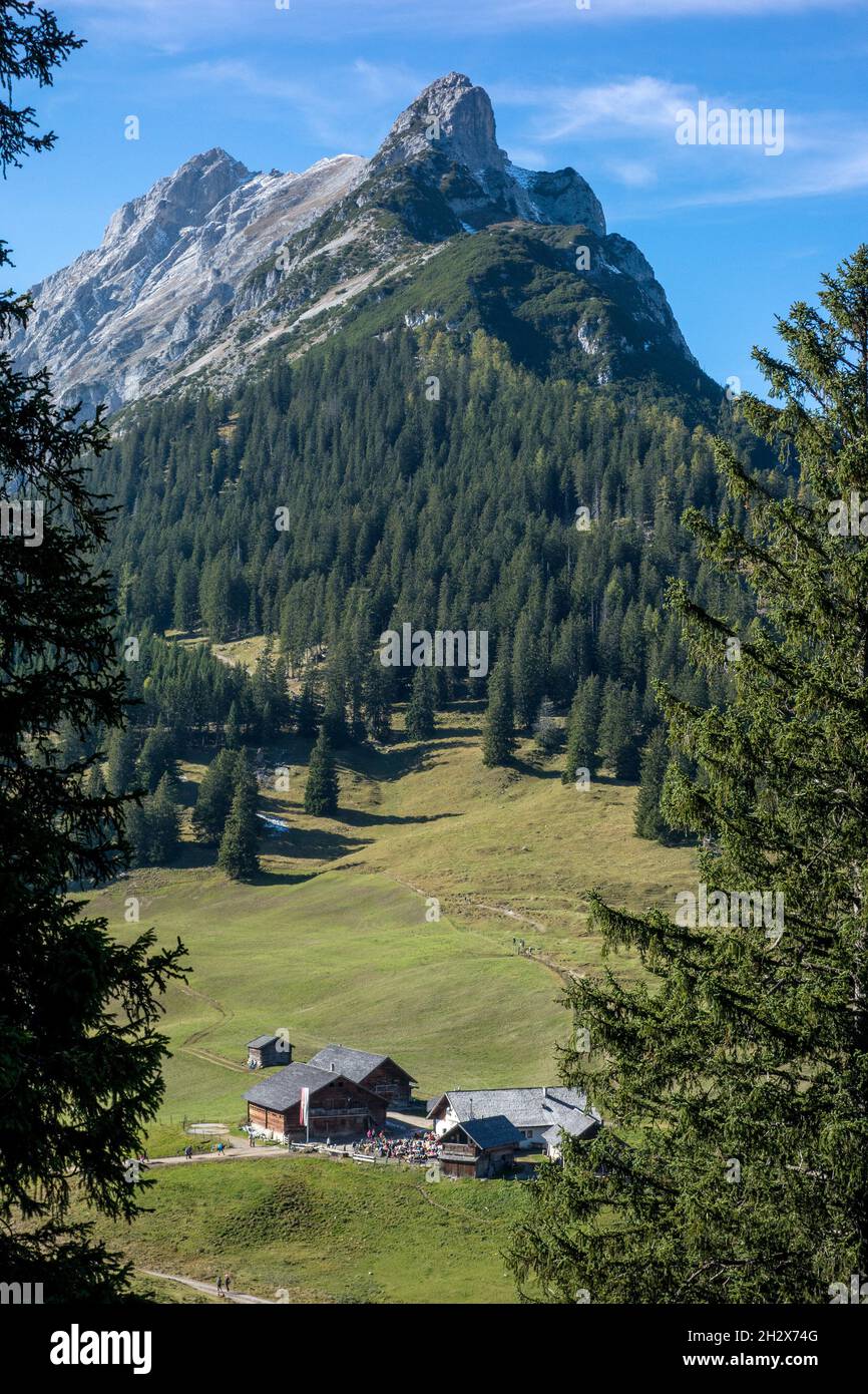 Walderalm - Gnadenwald Tirol, Autriche Banque D'Images
