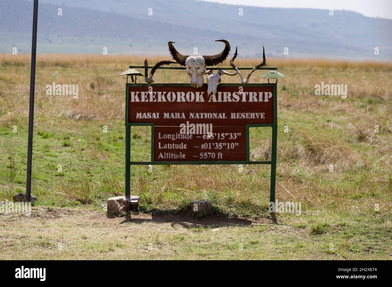 Bande d'atterrissage Keekorok métal et panneau de bois avec des crânes d'animaux, montrant l'emplacement, Masai Mara, Kenya Banque D'Images