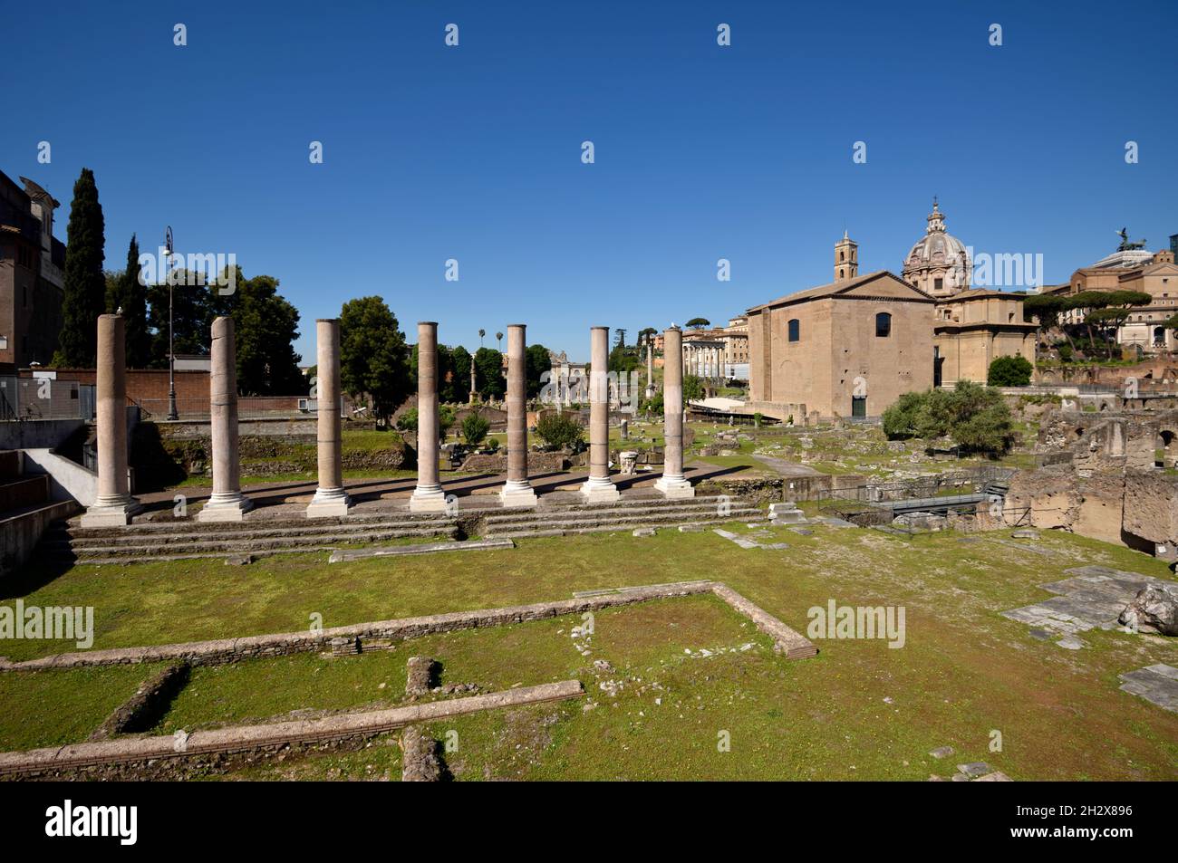 Italie, Rome, Forum romain, Foro della Pace (Forum de la paix), colonnes du Temple de la paix Banque D'Images