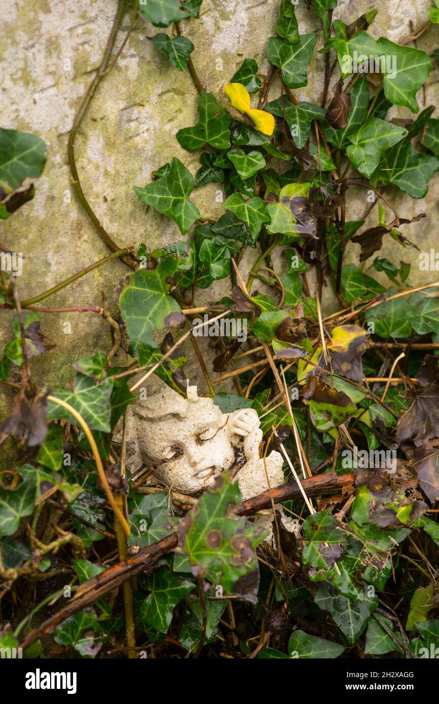 Une sculpture en pierre brisée de la face d'un chérubin partiellement dissimulée dans une lierre sur une pierre d'appui dans le vieux cimetière de Southampton, Hampshire, Angleterre. Banque D'Images
