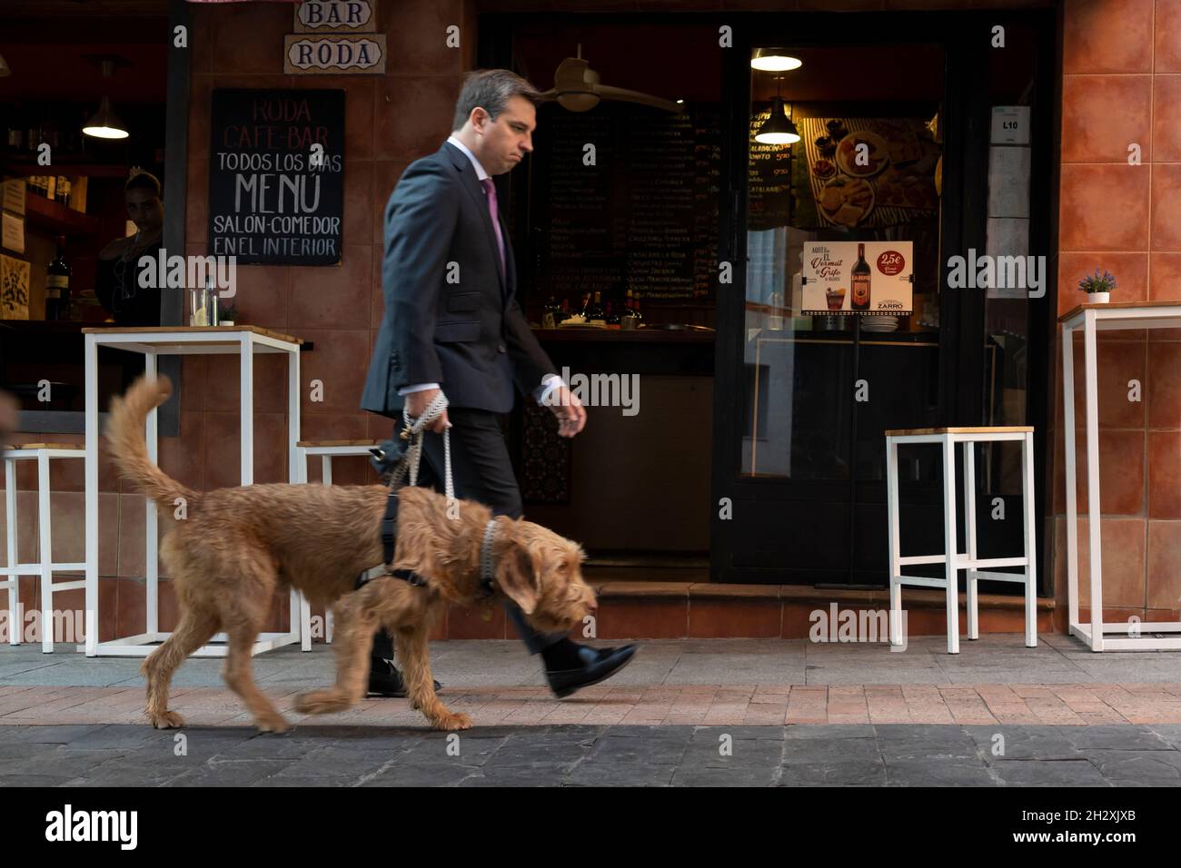 Un homme d'affaires marche son chien le long de la Calle de las Huertas dans le Barrio de las Letras à Madrid, Espagne. Banque D'Images