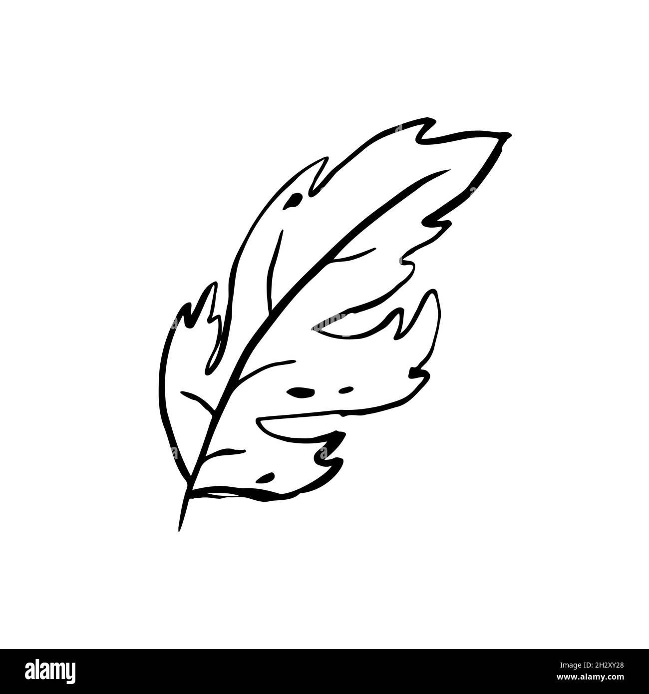 Feuille de contour d'esquisse d'automne. Fines herbes texturées dessinées à la main sur fond blanc. Image de plante graphique Doodle. Nature, jardinage, forêt, panneau d'automne. Porte-à-tout Illustration de Vecteur