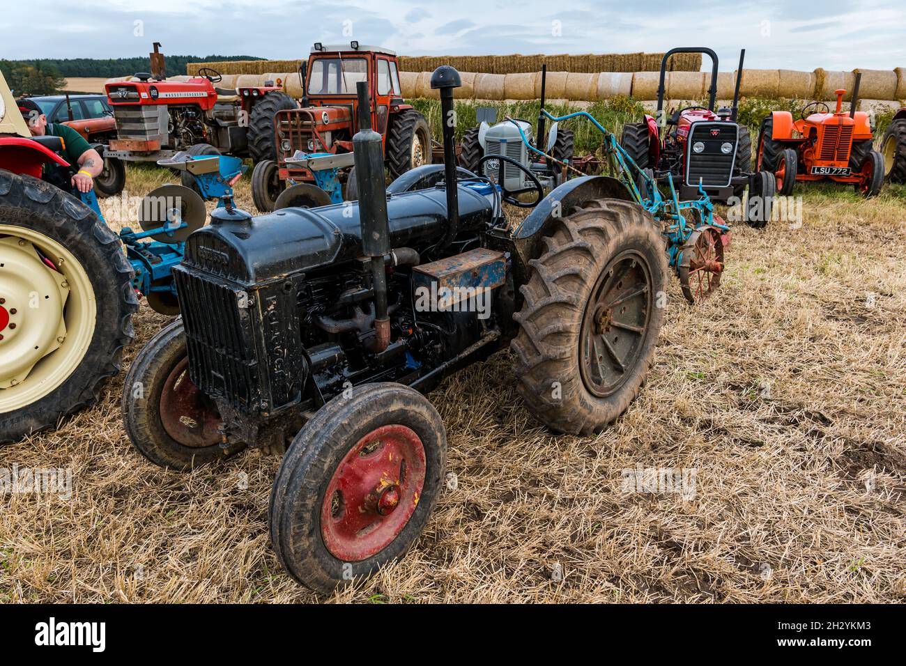 Des tracteurs d'époque au 70e championnat britannique de labour, Mindrum Mill, Northumberland, Angleterre, Royaume-Uni Banque D'Images