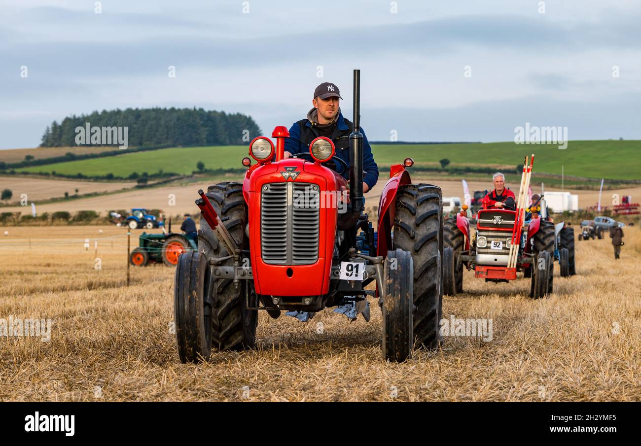 Les tracteurs d'époque défilent à la 70e Chapionships de labour britannique, Mindrum Mill, Northumberland, Angleterre, Royaume-Uni Banque D'Images