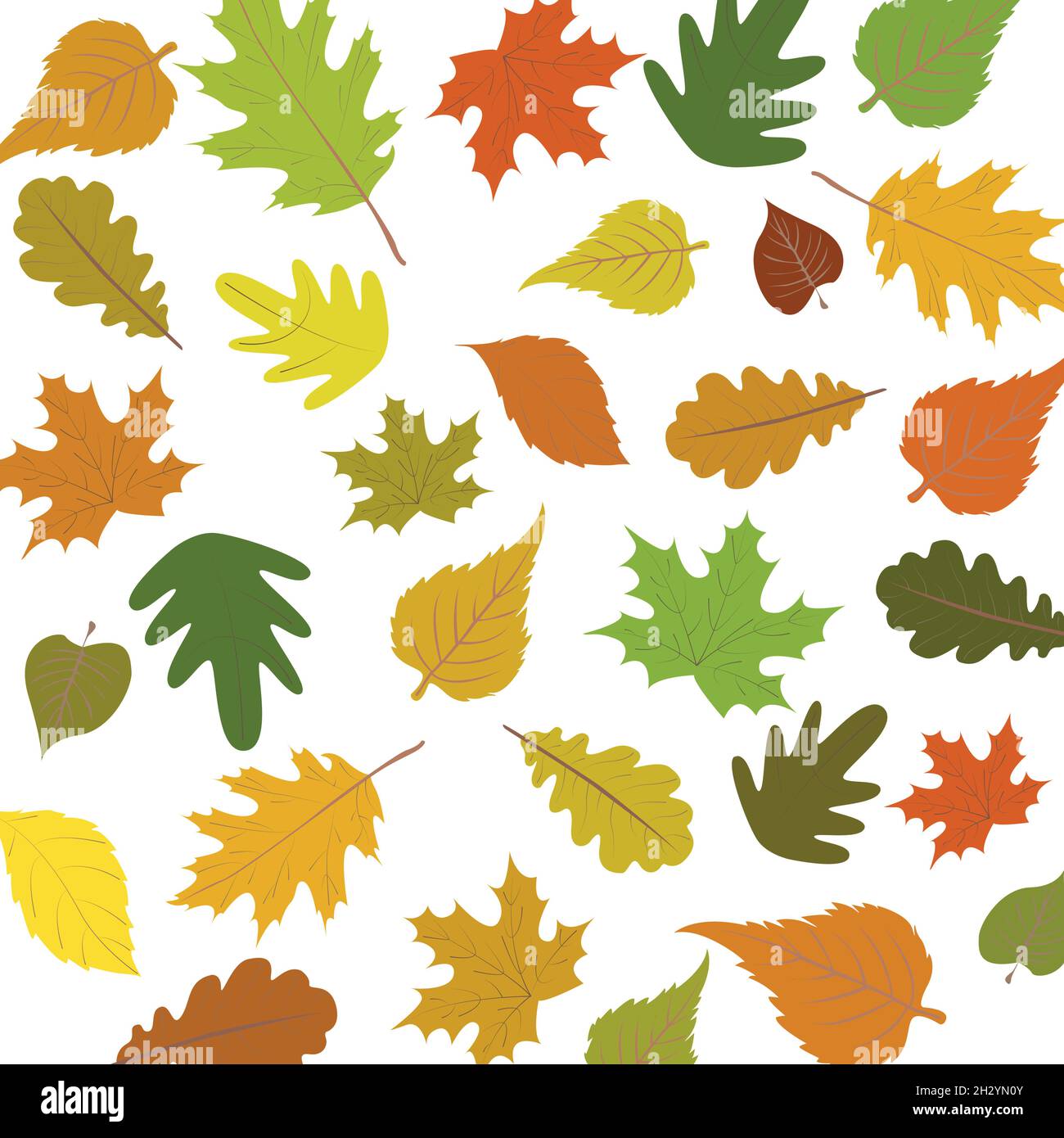 Feuilles d'automne isolées sur fond blanc - illustration vectorielle Illustration de Vecteur