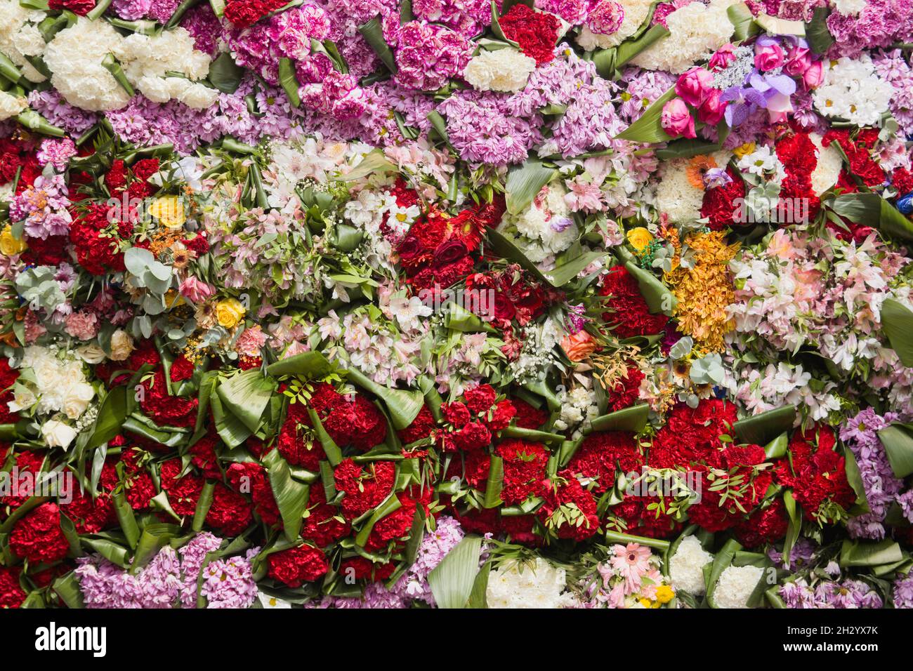 Gros plan d'un fond de fleurs multicolores : rouge, violet, jaune.Fleurs d'une offrande religieuse à une vierge à Valence (Espagne) pendant le cel Banque D'Images