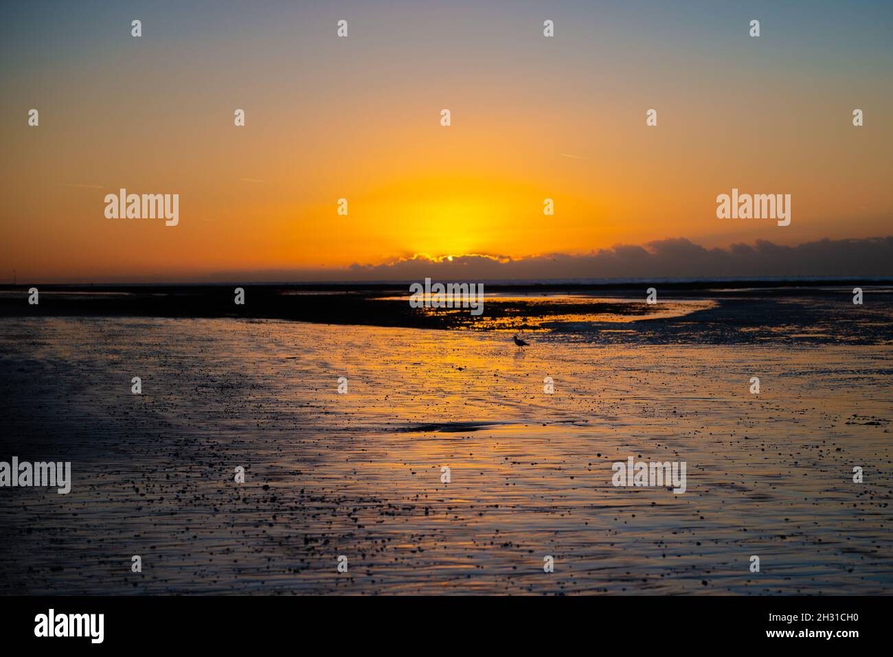 Lever de soleil en automne sur la plage de Littlehampton Banque D'Images