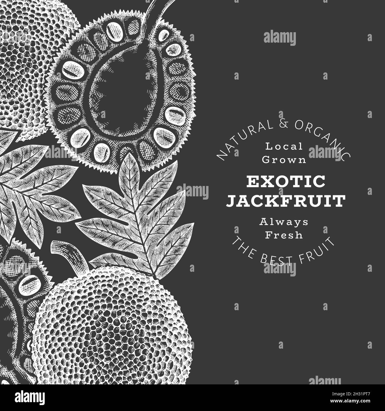 Bannière de style dessin de jackfruit dessinée à la main. Illustration vectorielle de fruits frais biologiques sur tableau à craie. Modèle rétro de fruits à pain Illustration de Vecteur