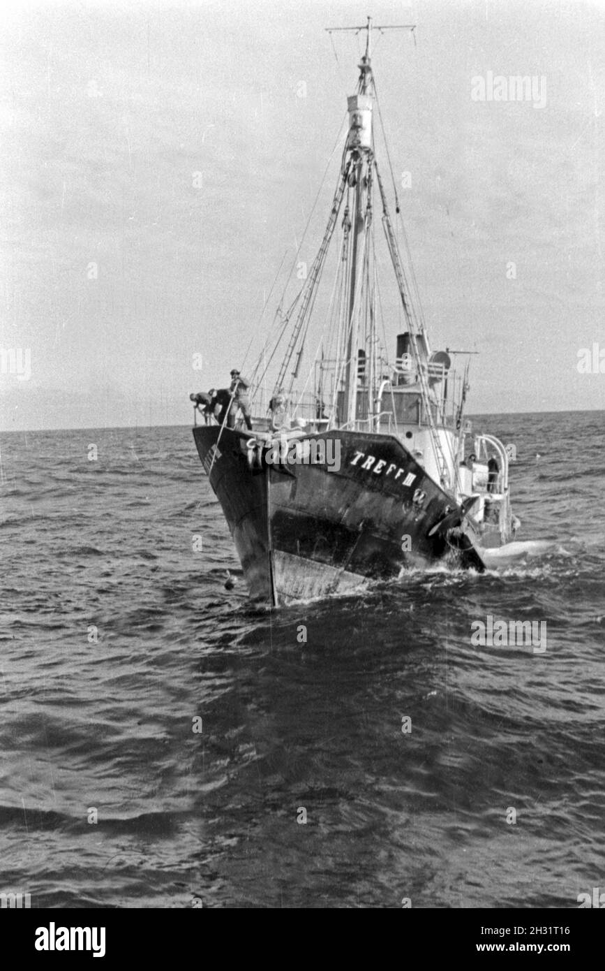 Fangboot Das Treff 'III' vom Mutterschiff «Jan Wellem' der deutschen Walfangflotte in der Arktis, 1930er Jahre. La chasse baleinière bateau "Treff III' de mère navire 'Jan Wellem' de la flotte allemande à la mer Arctique, 1930. Banque D'Images