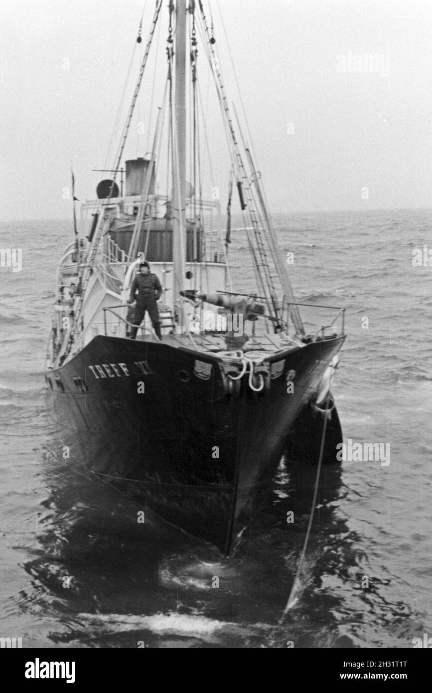 Das 'Fangboot Mutterschiff Treff VI' vom 'Jan Wellem' der deutschen Walfangflotte in der Arktis, 1930er Jahre. La chasse baleinière bateau "Treff VI' de mère navire 'Jan Wellem' de la flotte allemande à la mer Arctique, 1930. Banque D'Images