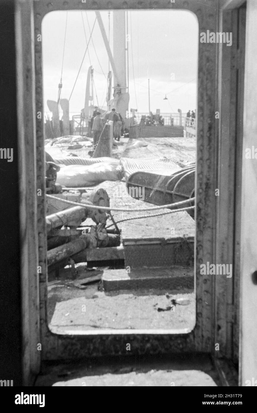 Blick auf das Deck des Fabrikschiffs «Jan Wellem' der deutschen Walfangflotte, 1930er Jahre. Vue sur le pont de navire-usine, 'Jan Wellem' de la flotte allemande, 1930. Banque D'Images