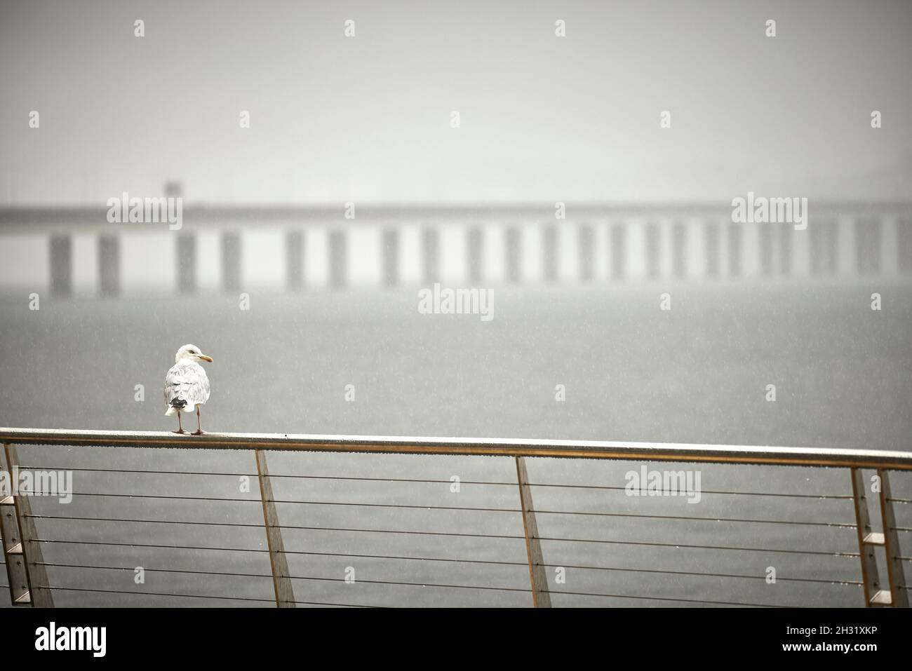 Dundee, Écosse, Riverside et le pont de Tay Road dans le brouillard Banque D'Images