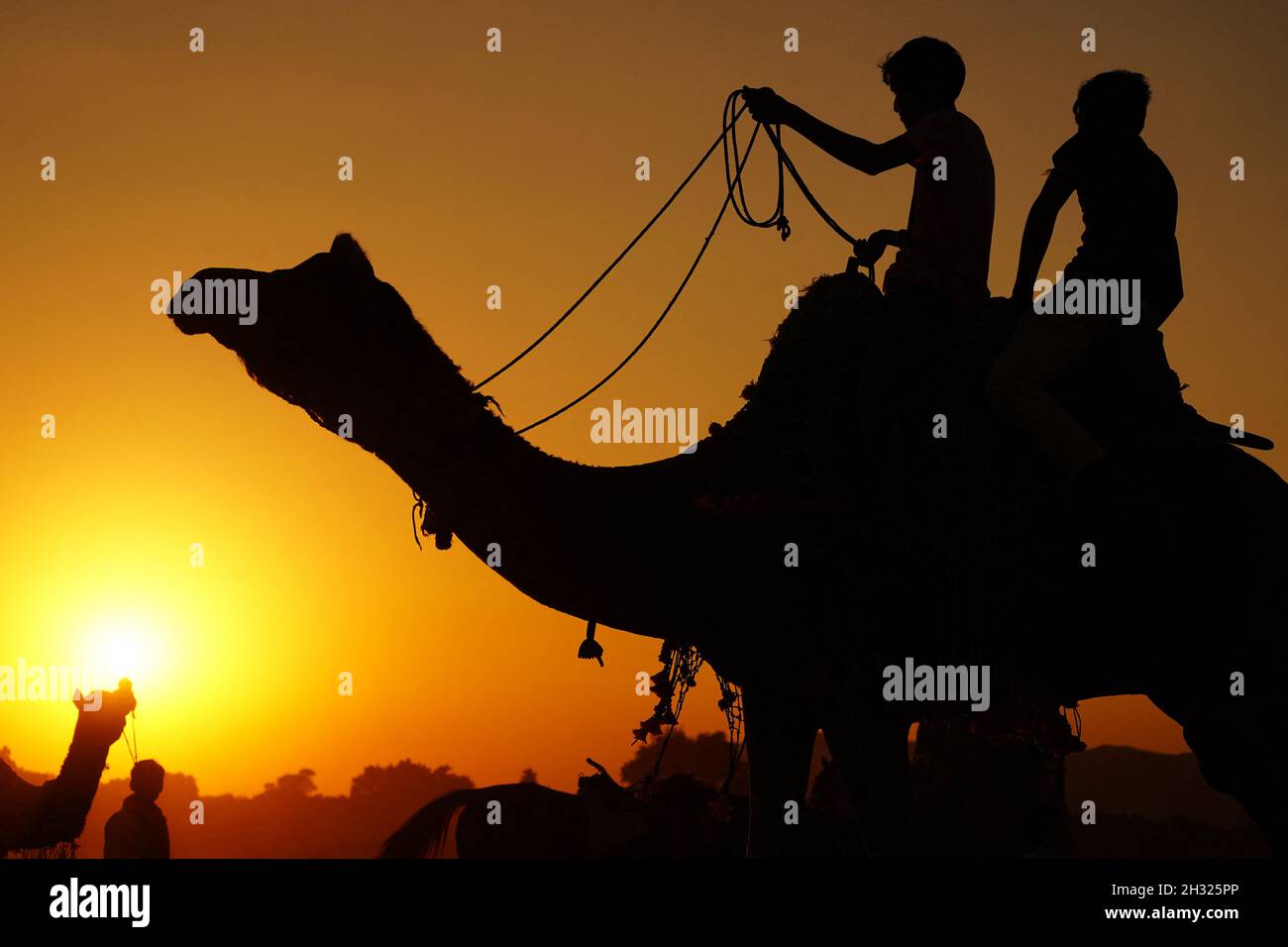 Pushkar - Inde, 23 octobre 2021, les touristes indiens apprécient le safari Camel dans le désert de Pushkar, dans l'État indien du Rajasthan le 23 octobre 2021.Photo de Himanshu Sharma/ABACAPRESS.COM Banque D'Images