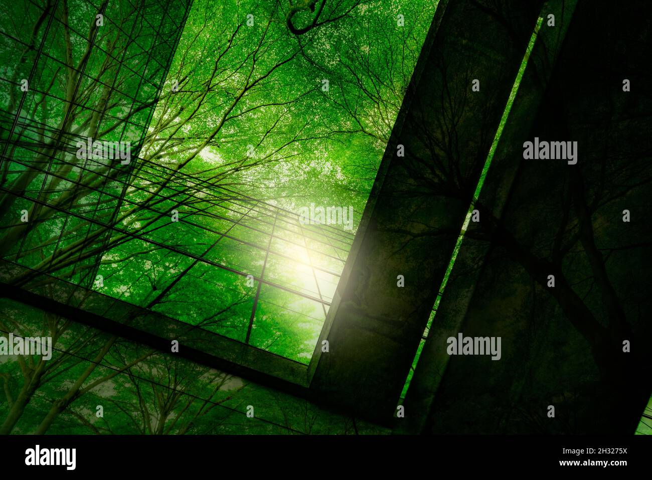 Bâtiment écologique dans la ville moderne. Branches d'arbres vertes avec feuilles et construction durable en verre pour réduire la chaleur et le dioxyde de carbone. Bureau Banque D'Images