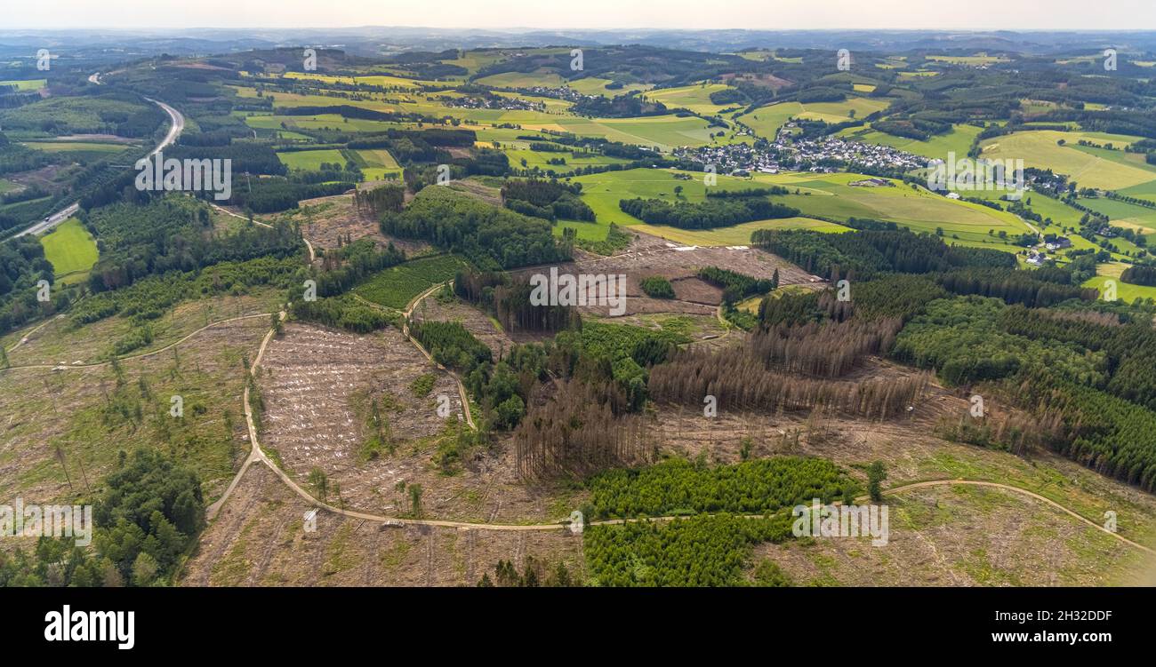 Photographie aérienne, zone forestière avec dommages forestiers près d'Iseringhausen et Brachtpe, Drolshagen, pays aigre, Rhénanie-du-Nord-Westphalie, Allemagne,mort d'arbre, Banque D'Images