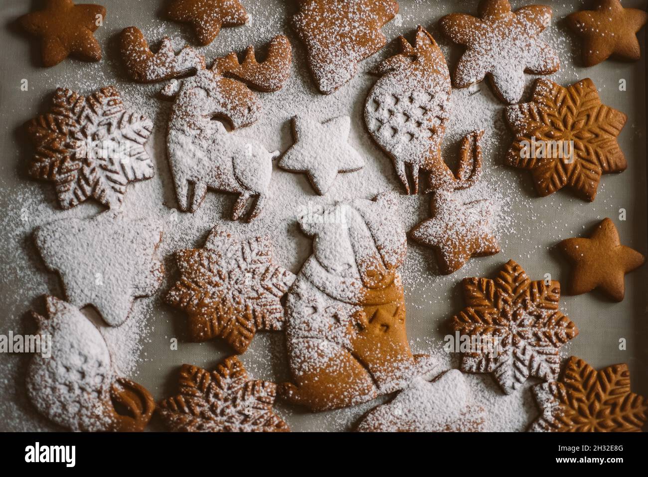 Assortiment de biscuits de Noël au pain d'épice, saupoudrés de sucre en poudre, gros plan Banque D'Images