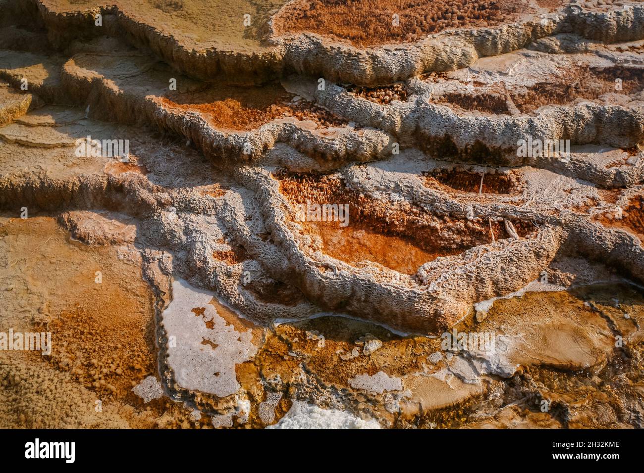 Yellowstone Mammoth Hot Springs terrasse closeup détails étonnants | belles formations de travertin, piscines d'eau colorées, mousse sur la surface de l'eau Banque D'Images