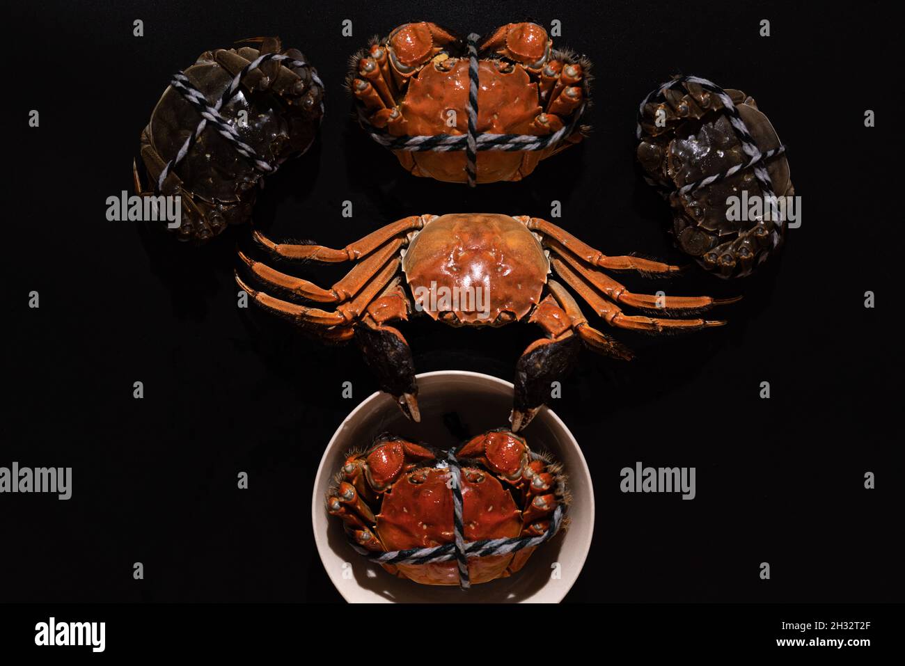 Crabe poilu bouilli de Shanghai ou crabe chinois (Eriocheir sinensis) Avec Chili et herbe sur fond noir Banque D'Images