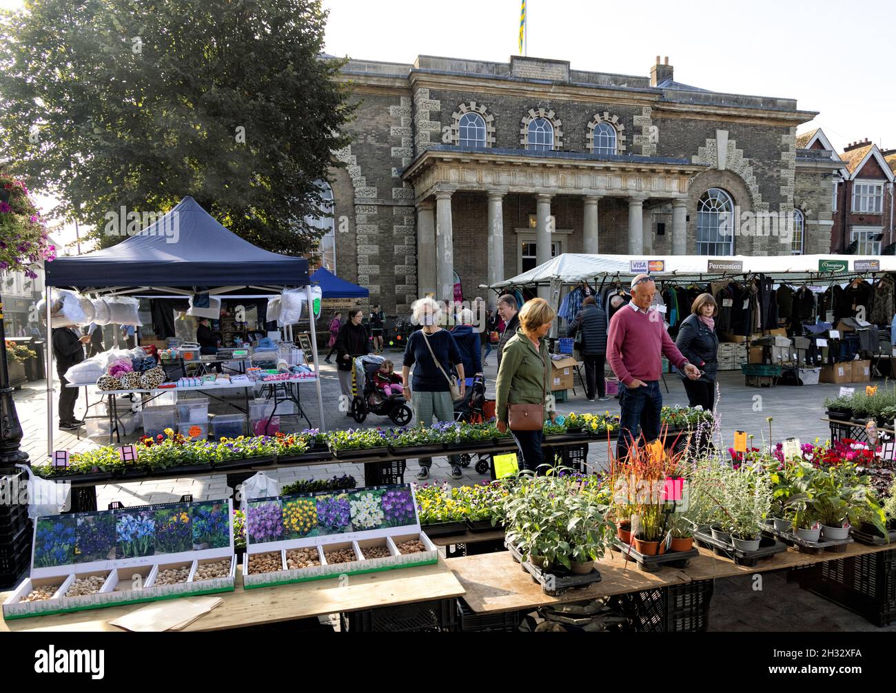 Les gens magasinent à Salisbury Market UK; (Salisbury Charter Market), Plant stall dans la place de marché en face du Guildhall, Salisbury Wiltshire UK Banque D'Images