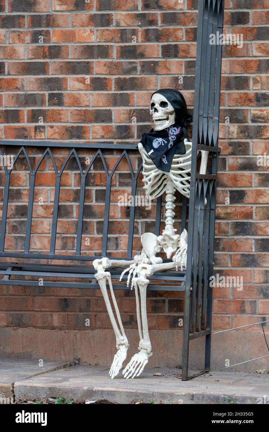 Squelette assis sur un banc Banque de photographies et d'images à haute  résolution - Alamy
