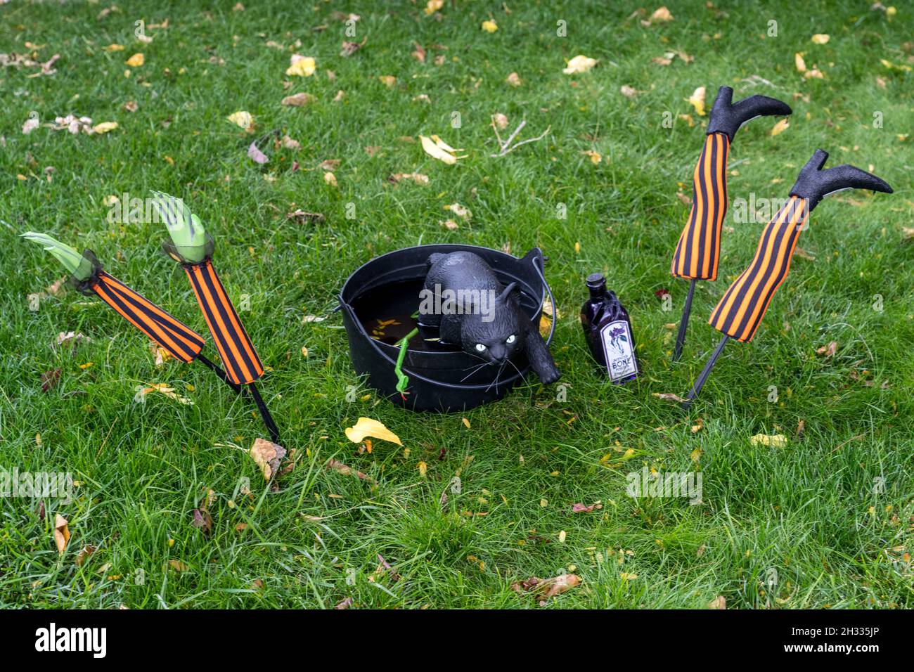 Décorations de pelouse d'Halloween avec un breuvage de sorcière dans un pot avec un chat noir. Banque D'Images