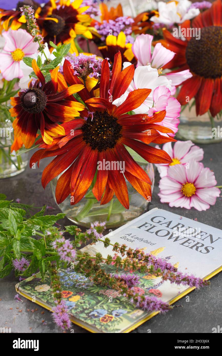 Fleurs de jardin coupées fraîches dans des pots en verre recyclé avec le livre vintage Ladybird 'Garden Flowers'.ROYAUME-UNI Banque D'Images