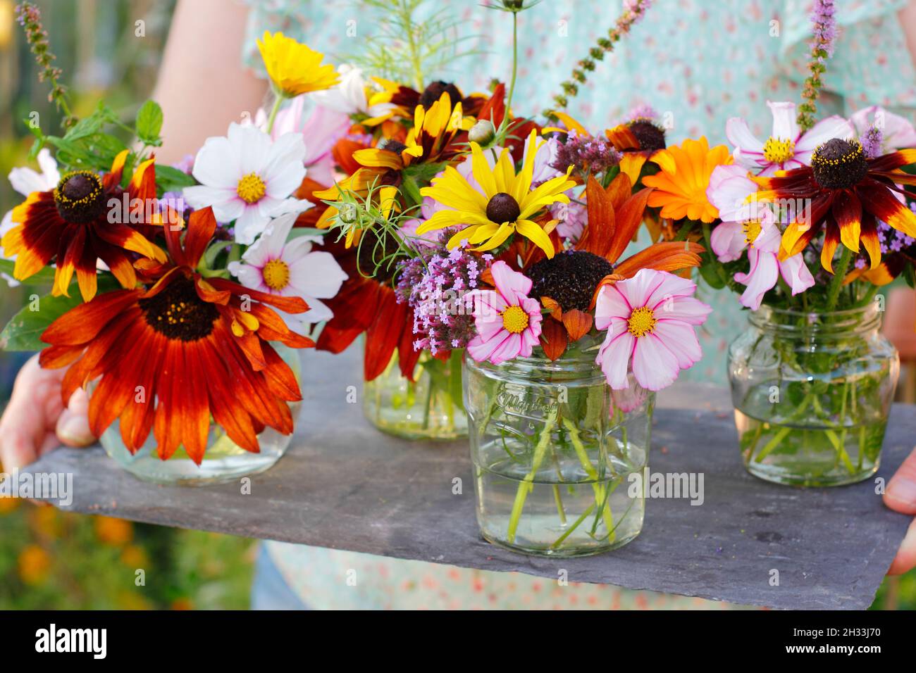 Femme avec des fleurs fraîches de son jardin de coupe - tournesol, rudbeckia, verbena, cosmos, menthe et pot marigold exposés dans des pots en verre recyclé.ROYAUME-UNI Banque D'Images